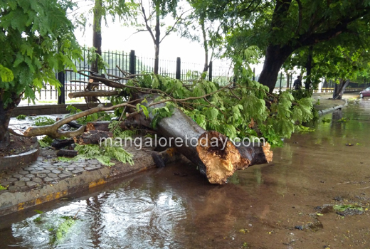 heavy rains 